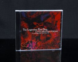 LEGENDARY PINK DOTS - Canta Mientras Puedas - CD
