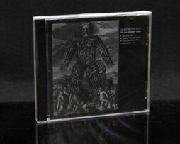 LEGENDARY PINK DOTS - Pre Millennial Single - CDEP