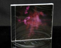 LEGENDARY PINK DOTS - Farewell Milky Way - CD