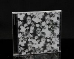 LEGENDARY PINK DOTS - Lovers, The - CD