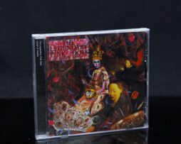 LEGENDARY PINK DOTS - Island of Jewels - CD