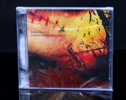 MENCHE, DANIEL - Scattered Remains - 2xCD