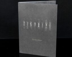 DEAUX, CHARLIE (WITH LUSTMORD) - Zoetrope - The Motion Picture - DVD