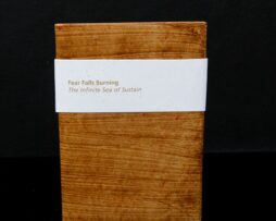 FEAR FALLS BURNING - The Infinite Sea of Sustain - DVD