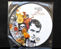 RICE, BOYD - The Way I Feel - LP Picture Disc