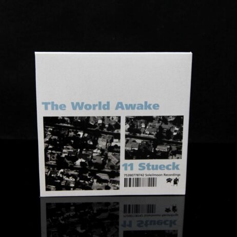 REFORMED FACTION - The World Awake/11 Stueck - 2xCD