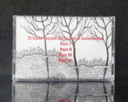 RICHTER SCALE - A Ripple on the Richter Scale - Cassette