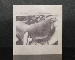 MERZBOW - Fuckexercise (#2)