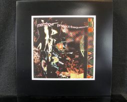 MERZBOW - Project Frequency (2023 edition)