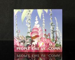 PEOPLE LIKE US - Copia
