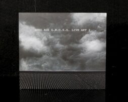 VARIOUS ARTISTS - Herz Aus G.R.O.S.S. Live Akt 2