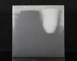 MERZBOW - The Prosperity Of Vice, The Misfortune Of Virtue