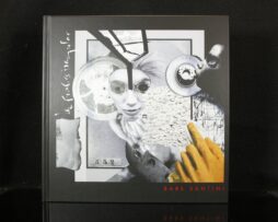 BABS SANTINI - The Formless Irregular