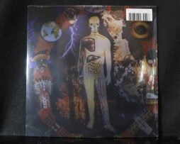 NOCTURNAL EMISSIONS - Cathedral