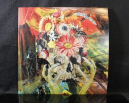 CADAVEROUS CONDITION / THIGHPAULSANDRA / NURSE WITH WOUND / NOCTURNAL EMISSIONS / ANDREW LILES / COLIN POTTER - Destroying the Night Sky