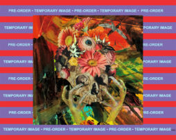 CADAVEROUS CONDITION / VARIOUS ARTISTS - Destroying the Night Sky