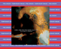 NIGEL AYERS / PBK / KIRK WILSON / ALLAN ZANE - Cartology of Shadows