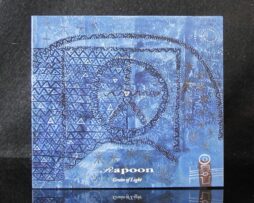 RAPOON - Grain of Light