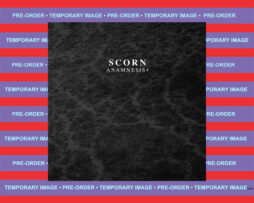 SCORN - Anamnesis+