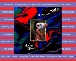 NURSE WITH WOUND - A Sucked Orange