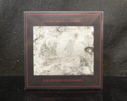 MITSURU TABATA + JUN MORITA - Live Critique of Judgement