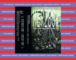 MERZBOW - Synthesis Post-Contact