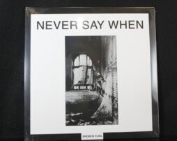 VARIOUS ARTISTS - Never Say When