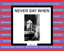 VARIOUS ARTISTS - Never Say When
