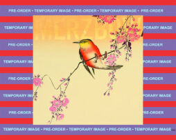 MERZBOW - Nine Studies of Ephemeral Resonance Vol. 1-9