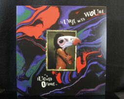 NURSE WITH WOUND - A Sucked Orange