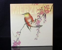 MERZBOW - Nine Studies of Ephemeral Resonance Vol. 1-9