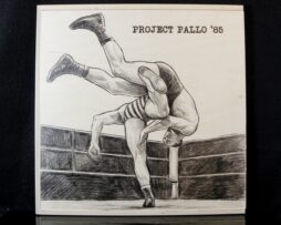 INCAPACITANTS - PROJECT PALLO '85